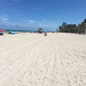 Meet your Posher, Eliza